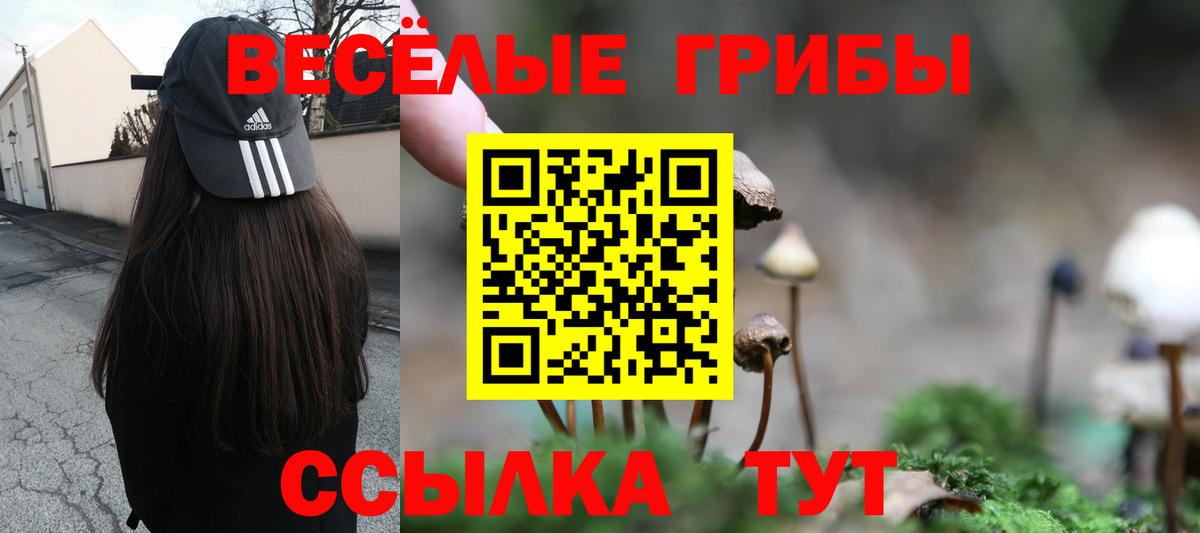 LSD-25  ГАШИШ  Мытищи  Метамфетамин  АМФ кристаллы  Меф   Конопля  КОКАИН  Меф  APVP СОЛЬ   Вход с VPN 